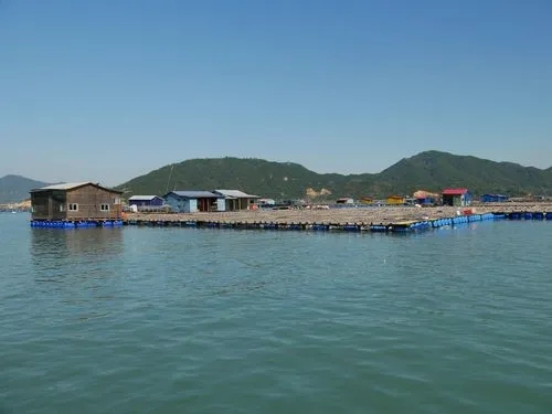 深圳水产养殖水质检测