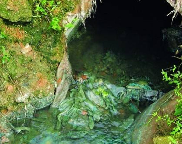 生涯废水污染检测